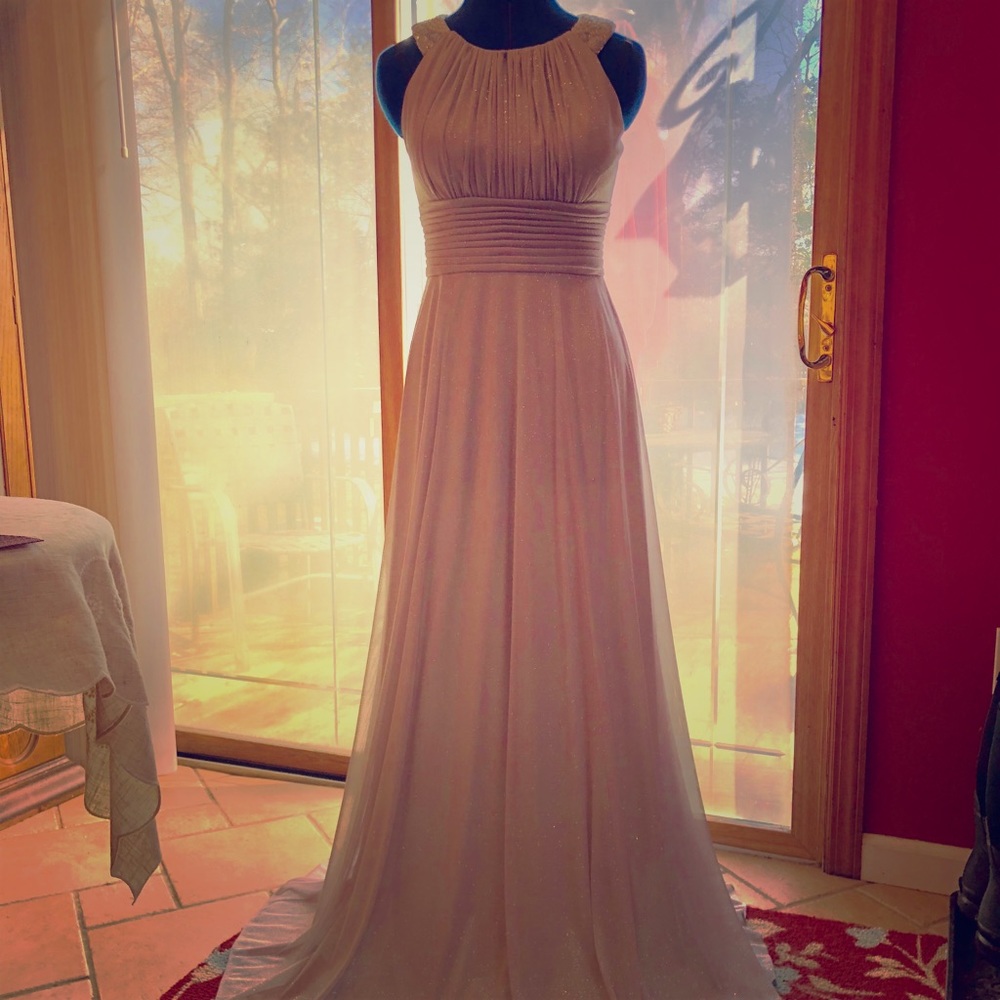🤩Beautiful Sparkly Silver Gown🤩